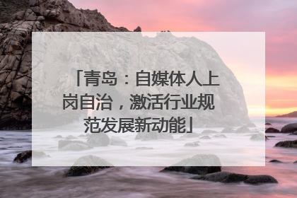 青岛：自媒体人上岗自治，激活行业规范发展新动能